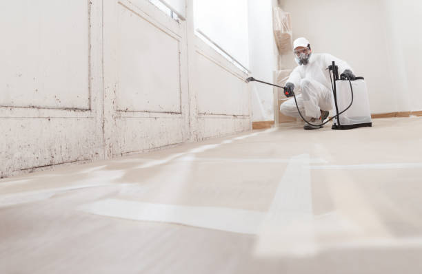 24/7 Emergency Mold Testing experts in Clearfield, PA