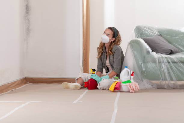 Reliable Mold Testing contractor in Clearfield, PA by WQB Mold Removal